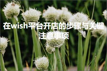 跨境电商知识:在wish平台开店的步骤与关键注意事项